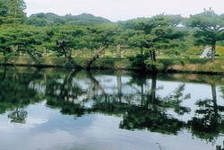 img01.jpg