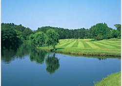 img02.jpg