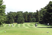 img03.jpg