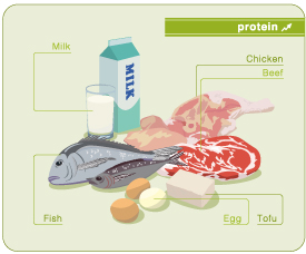 たんぱく質を効率よく摂るには